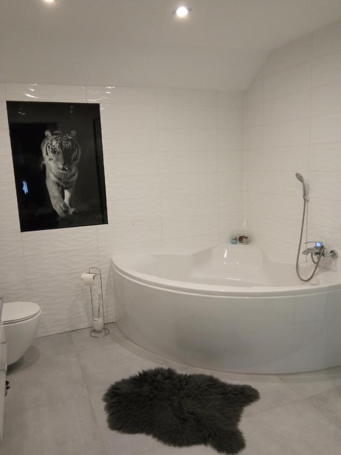 Apartament Przy Jeziorze Iława Zewnętrze zdjęcie